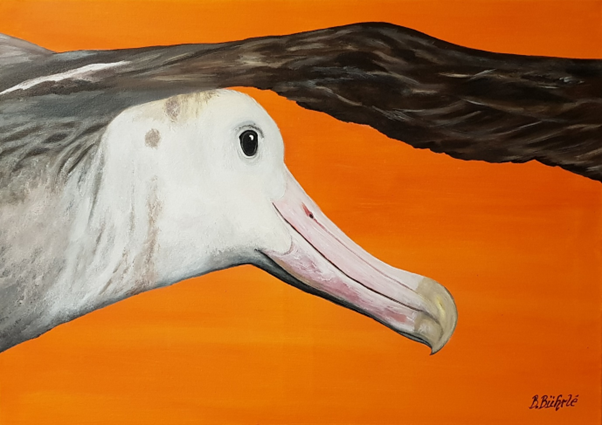 Albatross painting