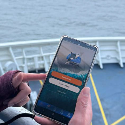 Ocean Watchers app on a mobile device