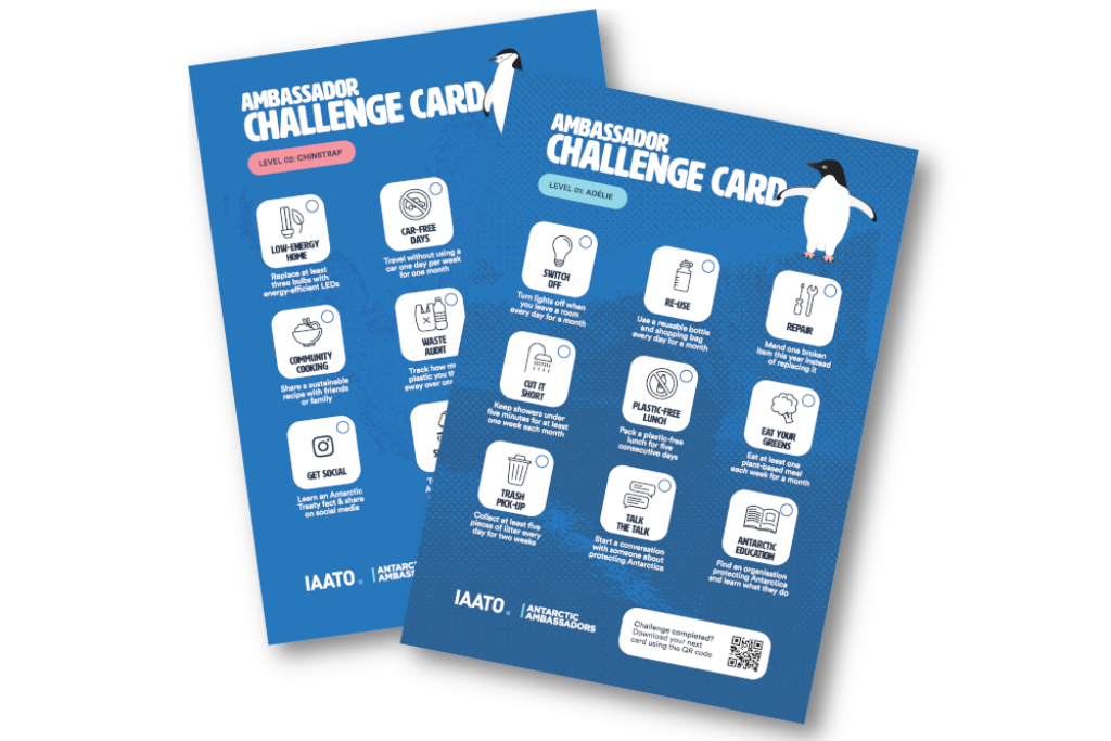 Ambassador Challenge Cards graphic