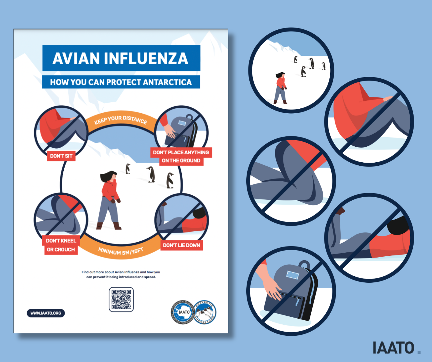 Polar Stakeholders’ Response To Avian Influenza As 2023-24 Antarctic ...